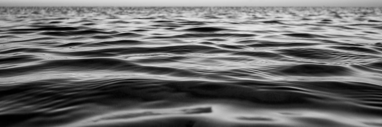 L. banner