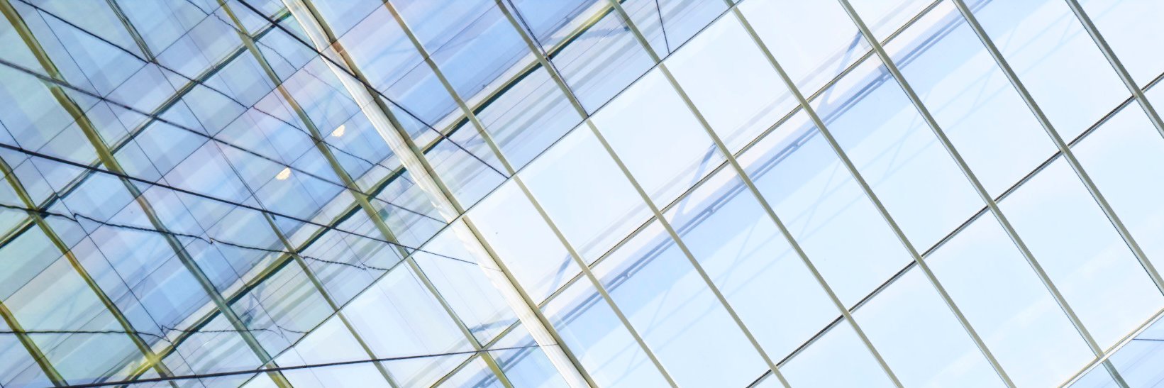 Stewarts Spinal Injury banner