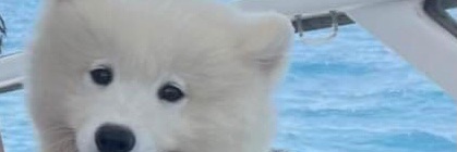 maywishb_'s profile banner image