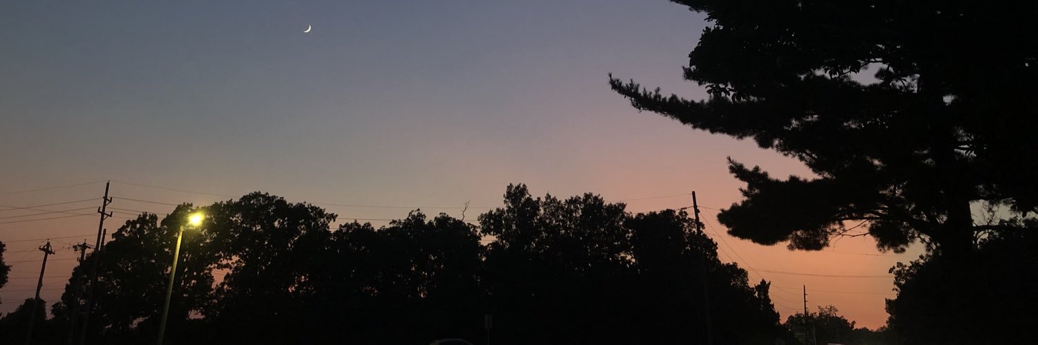 MissDepistada's profile banner image