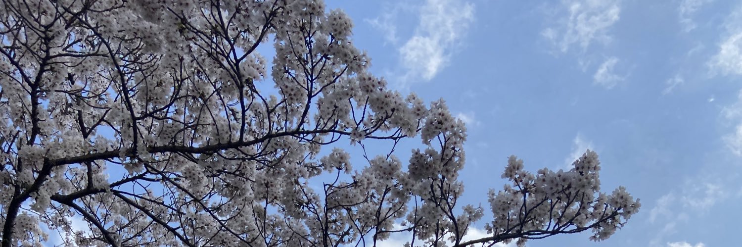 RYyamadaRH's profile banner image