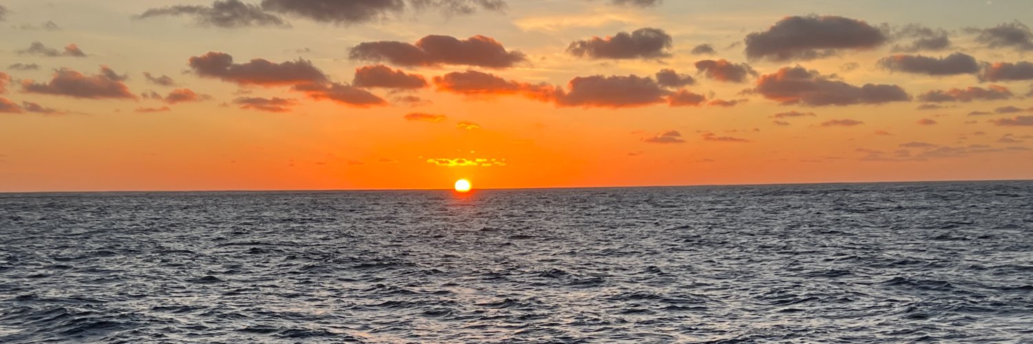 Amy Mayer (she) banner