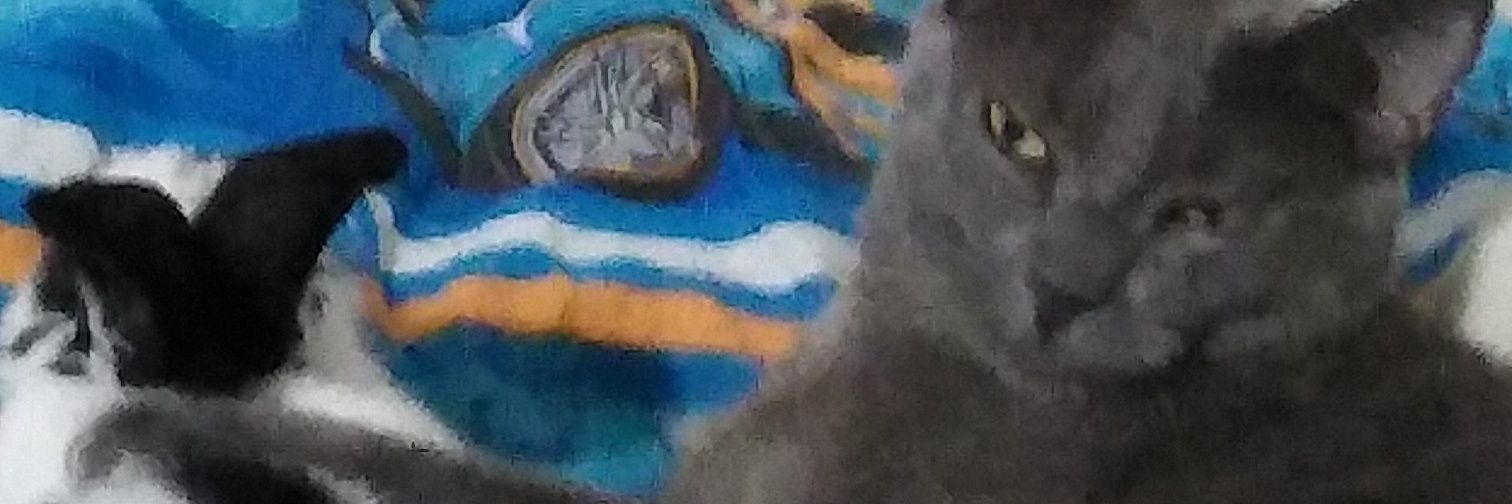 Navis1984's profile banner image