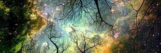 Ashlethh's profile banner image