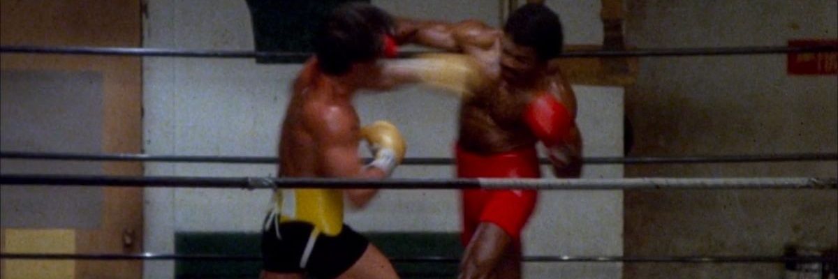 Boxea Golden Edition banner