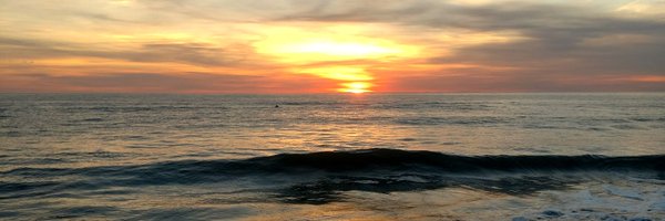 MissCoates_PBIS Profile Banner