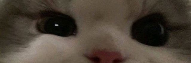 natediane's profile banner image