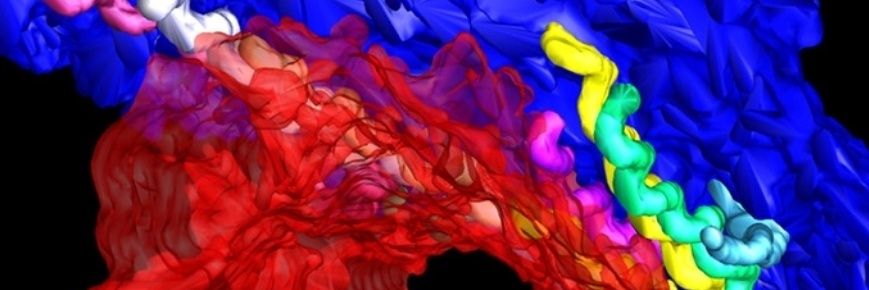 Cellular Microbiology banner