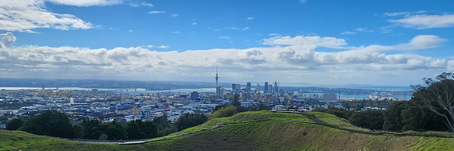 W i k y d e w i banner