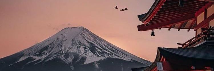 mlevimm's profile banner image