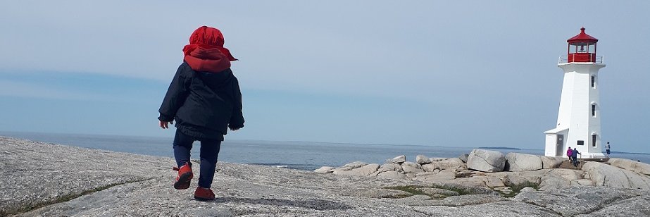 Ecoloodi's profile banner image
