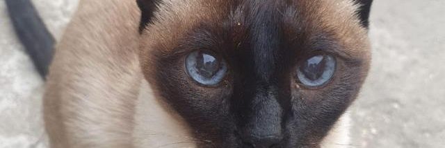 camims17's profile banner image