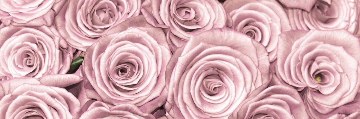 Findom_Queen_xo's profile banner image