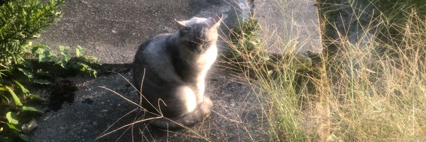 goblinking2 Profile Banner