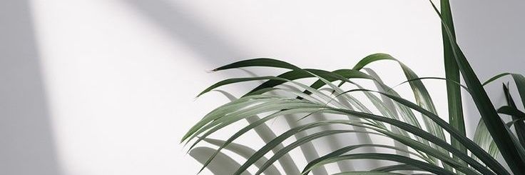 _pulsera's profile banner image