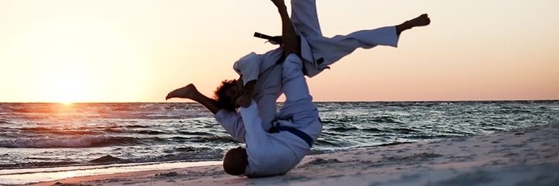 Stef daddy shark banner