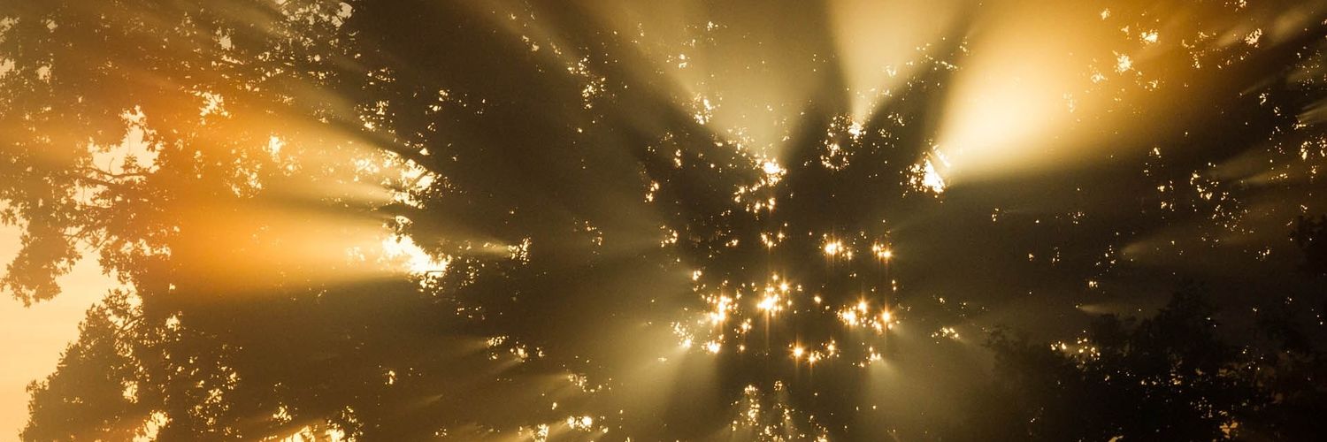 Nikki Humphrey banner