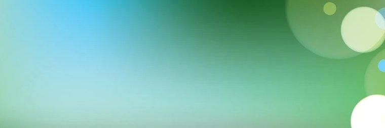 Lee Page banner