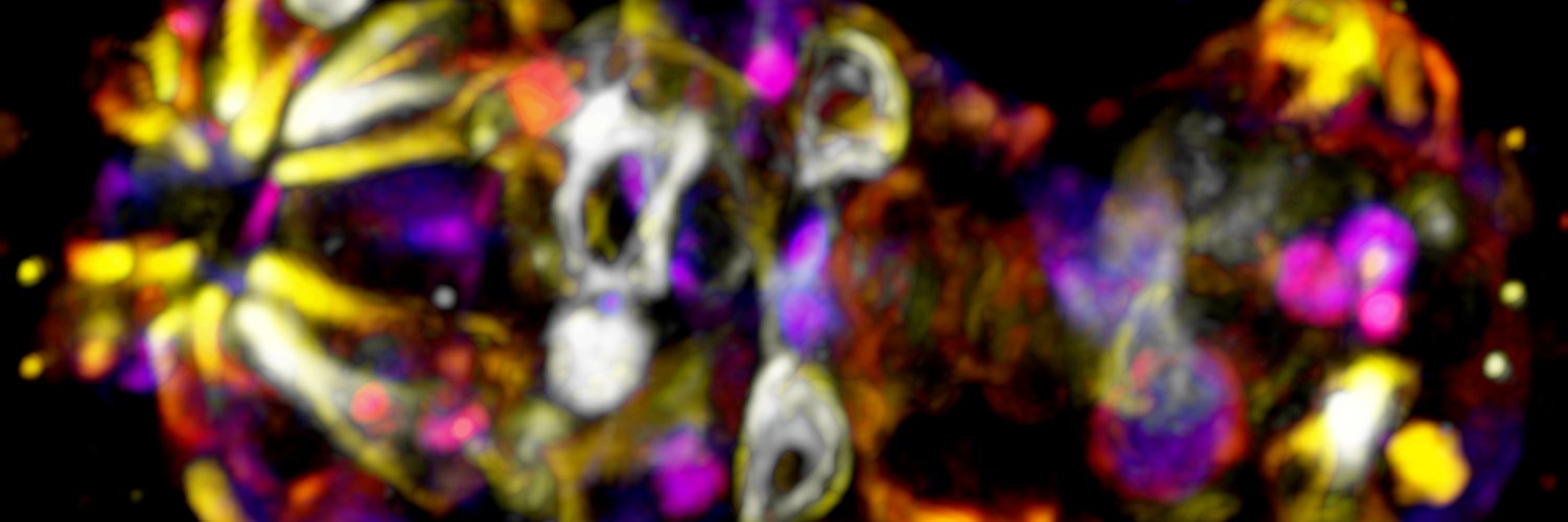Bembenek Lab's banner
