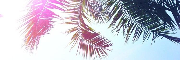 AlizeeGariel's profile banner image