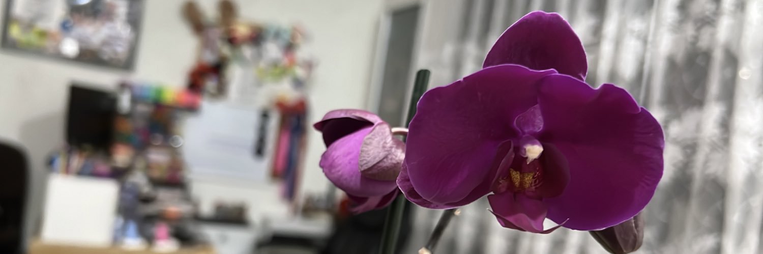 BethEnIngles's profile banner image