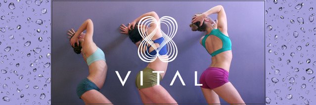 VitalBowspring's profile banner image