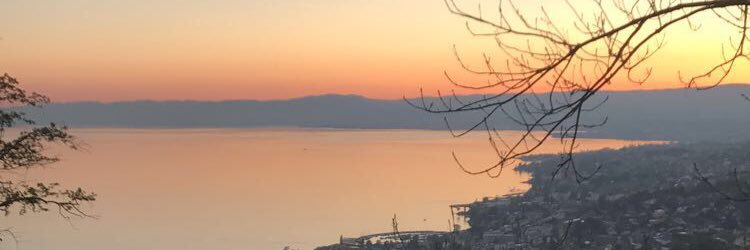 Diego Taboada banner