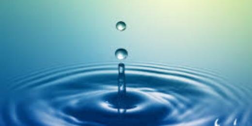 Maria Borelius banner