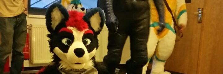 Coltlan Husky banner