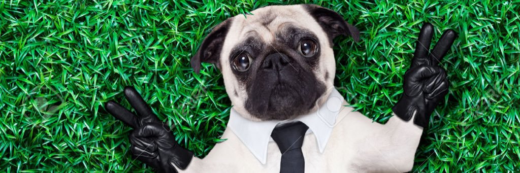 Crypto Room 101 banner