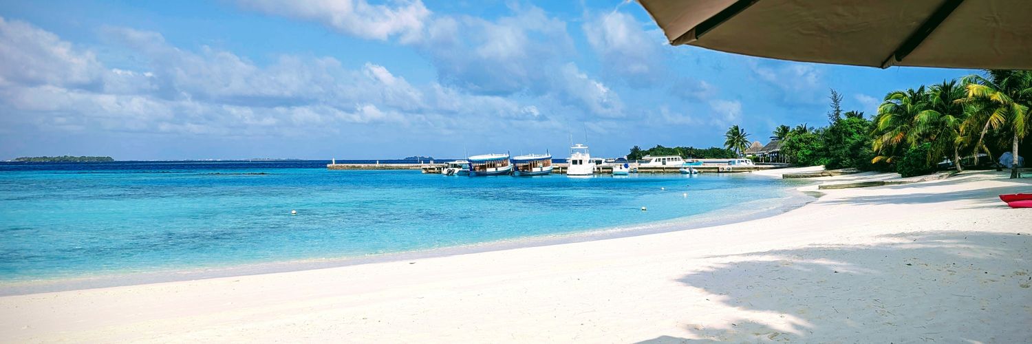 Adam K 🐈‍⬛ banner