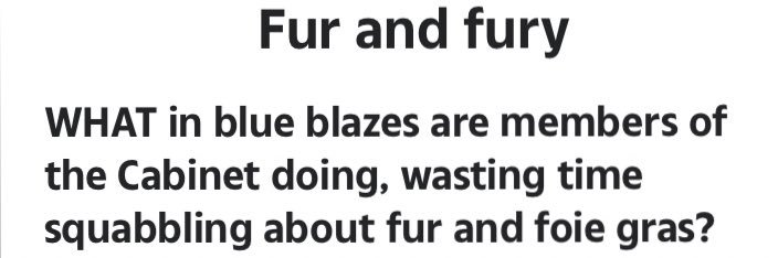 BritishFur's profile banner image