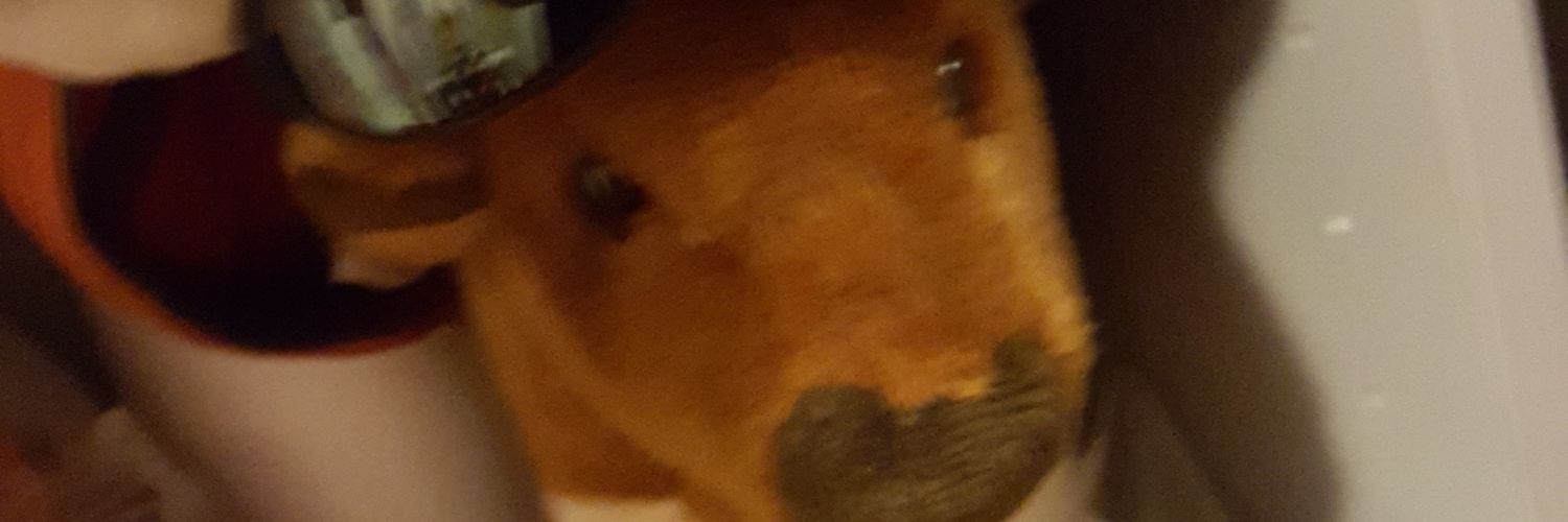 GarthReed16's profile banner image