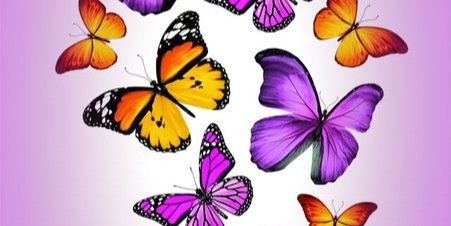 MARY101479's profile banner image