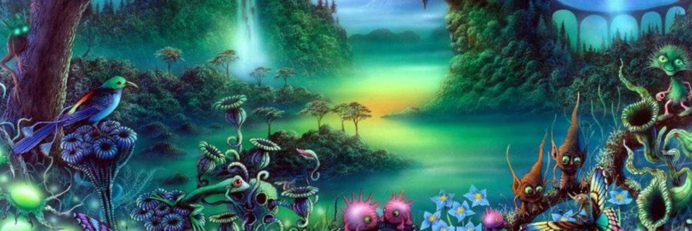 macrosoh's profile banner image