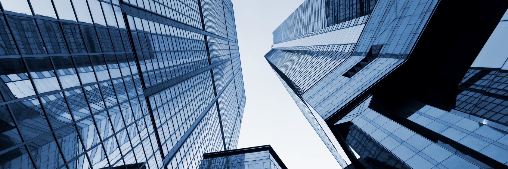 French Digital Asset Association banner