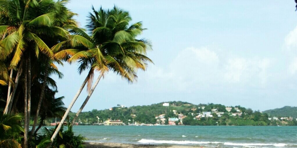 Jimani2012's profile banner image