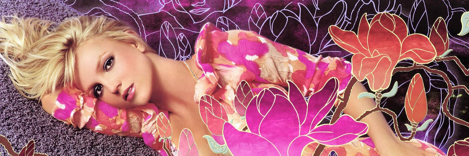 falltobritney's profile banner image