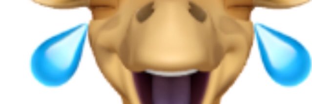 andyrodes's profile banner image