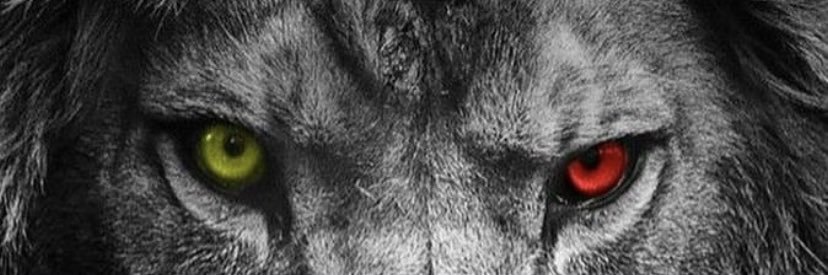 ogulcaan23's profile banner image