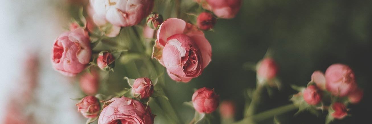 iamTrevrr's profile banner image