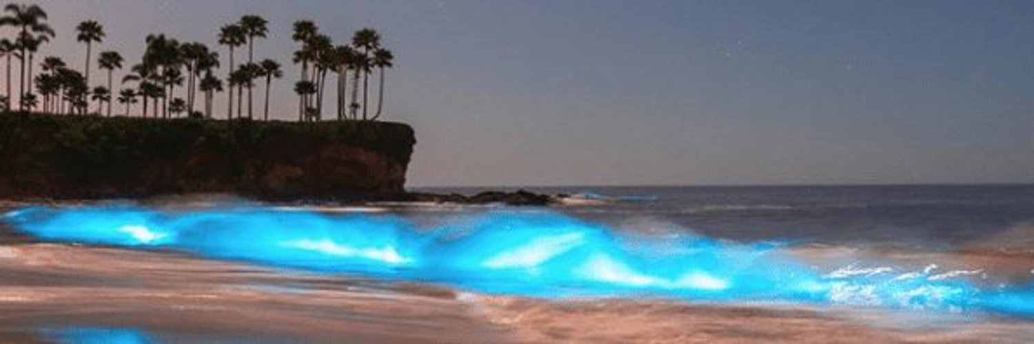 _AlexanderDane's profile banner image