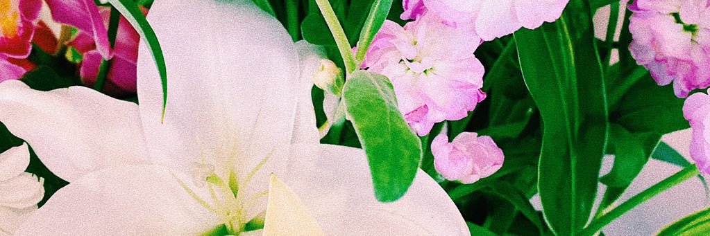 ルドさん banner