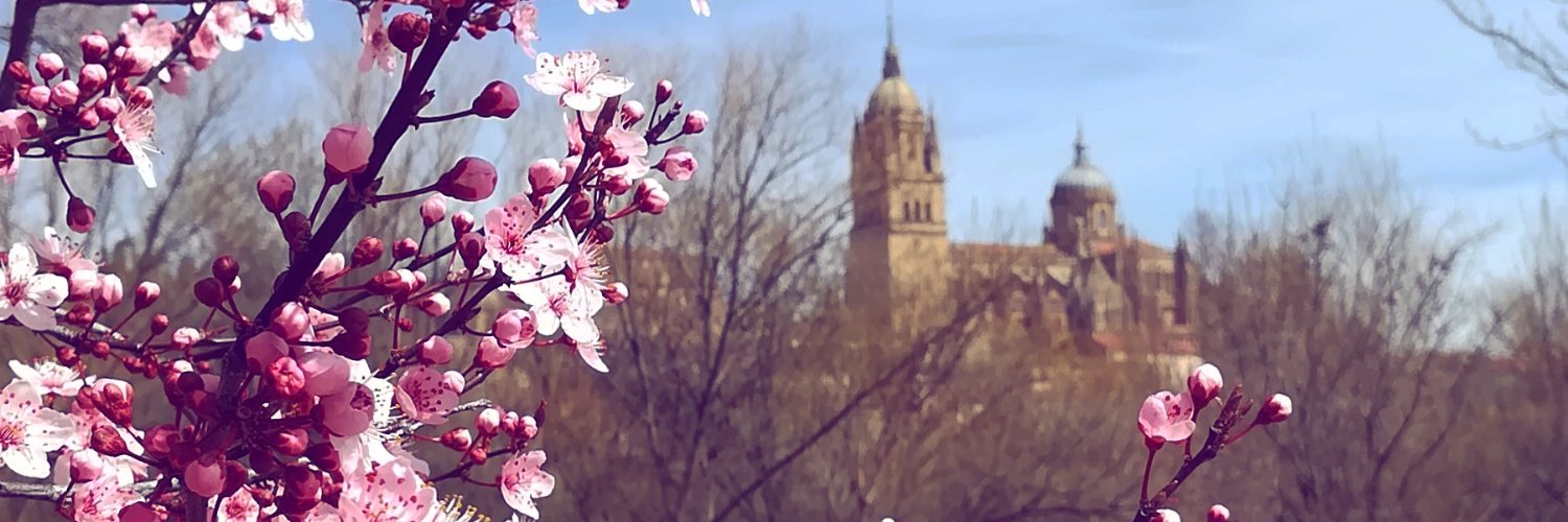 Lu Bausela Buccianti banner