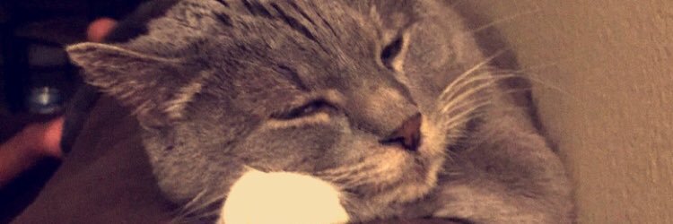 galvan_111's profile banner image