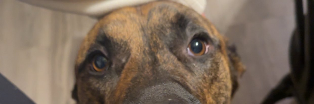 filtergone69's profile banner image