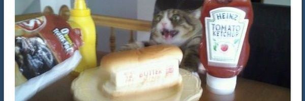 BrittonMoser's profile banner image