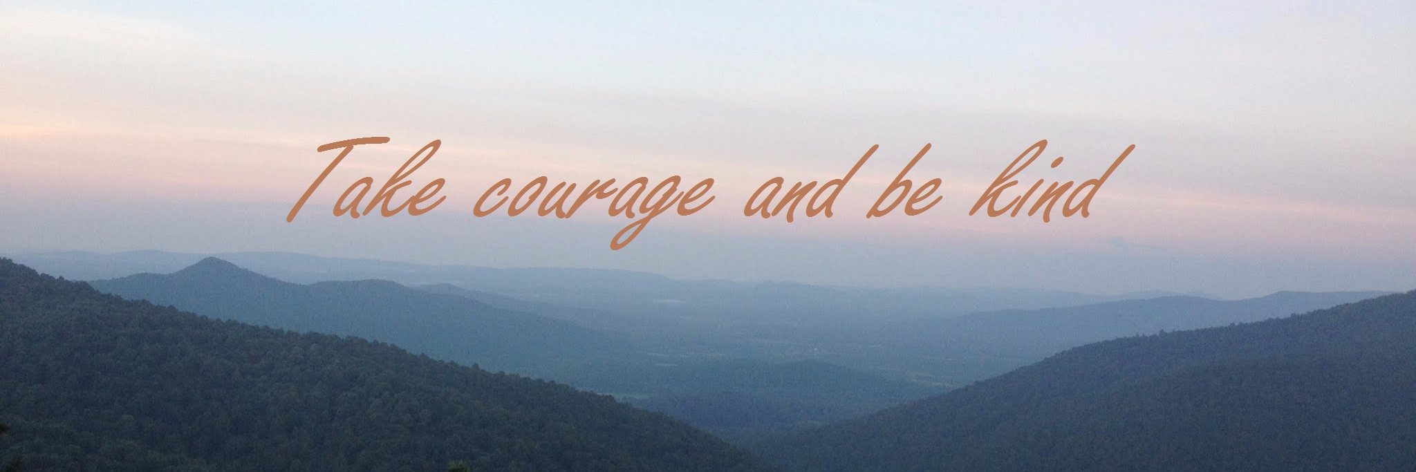 Danielle Viers banner