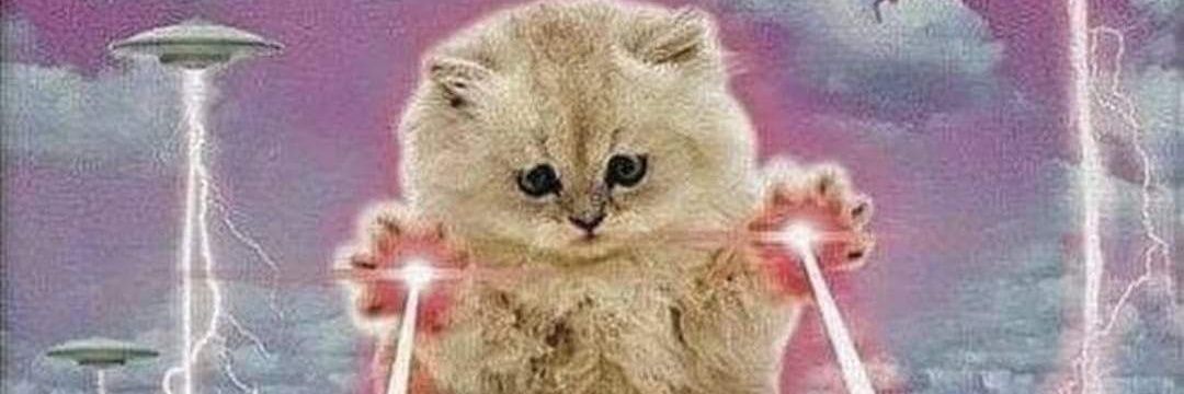 Fluffy Panda's banner