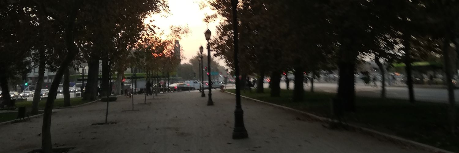 camilainosh's profile banner image